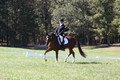 Emily Kagey on Flicka, Beginner Novice Horse Trials Junior A