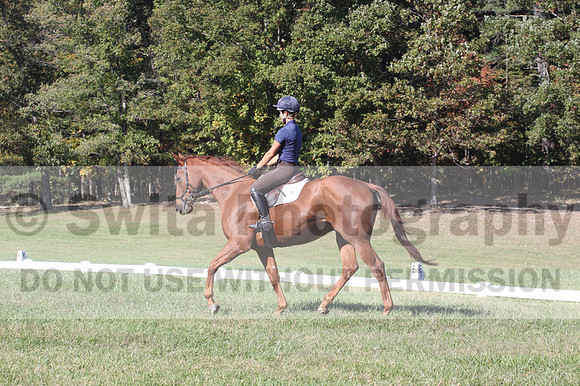 Gabby Dickerson on Congarazzi, Beginner Novice Horse Trials Senior A