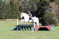Violet Cross on Elpin Odin, Beginner Novice Horse Trials Junior B
