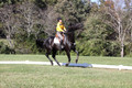 Madlen Lesesne on SBF Figaro, Advanced Green Horse Trials B