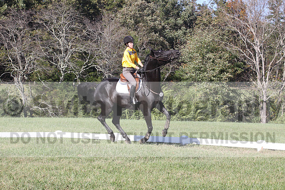 Madlen Lesesne on SBF Figaro, Advanced Green Horse Trials B