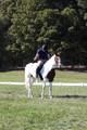 Elizabeth Schooley on Pearl, Advanced Green Horse Trials A