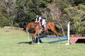 Alexandria Morocom on Da Lime and Da Coconut, Advanced Green Horse Trials B