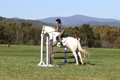 Violet Cross on Elpin Odin, Beginner Novice Horse Trials Junior B