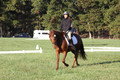 Jenny Rosner on Abbey Moon, Training Horse Trials