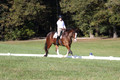 Allie Farley on Fiona, Novice Horse Trials Senior A