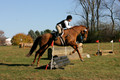 Elizabeth Brown on Adagio, Advanced Green Horse Trials Senior A