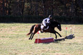 Erica Jones on Bingo, Advanced Green Horse Trials Senior A