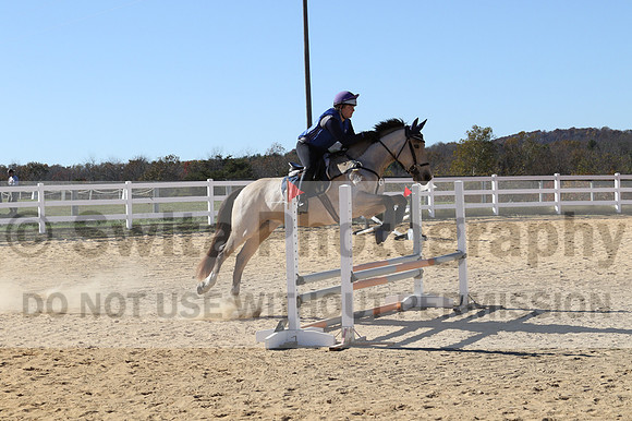 Brynn Katany on Cady O'Daly Artisan, Beginner Novice Horse Trials Junior A