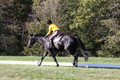Madlen Lesesne on SBF Figaro, Advanced Green Horse Trials B