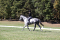 Michele Gnozzio on Dazzling, Beginner Novice Horse Trials Senior C