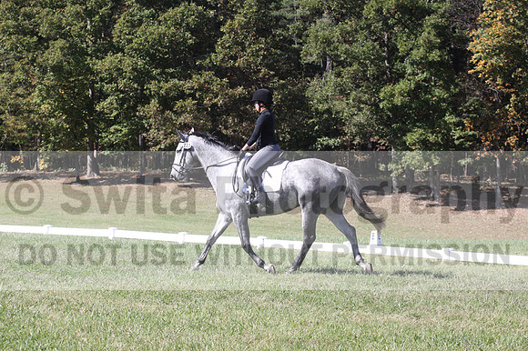 Michele Gnozzio on Dazzling, Beginner Novice Horse Trials Senior C