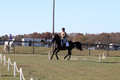 Amy Kryder on Rhianna, Beginner Novice Horse Trials Senior C
