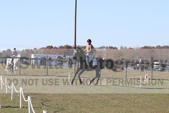 Amy Kryder on Rhianna, Beginner Novice Horse Trials Senior C