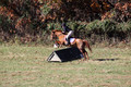 Theresa Thompson on Rated PG, Novice Horse Trials Senior