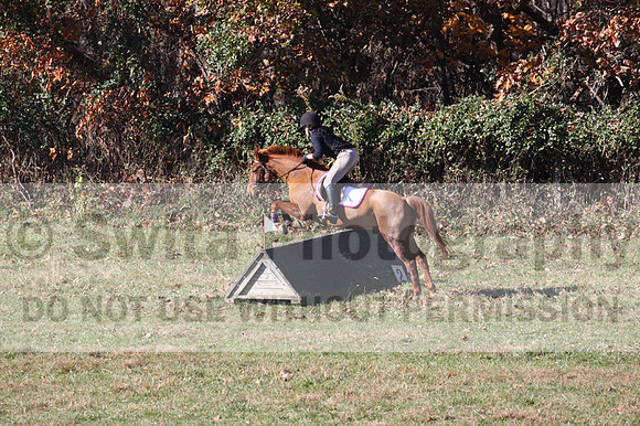 Theresa Thompson on Rated PG, Novice Horse Trials Senior