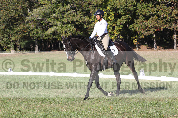 Anna White on Rocking The Ark, Novice Horse Trials Senior A
