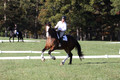 Allie Farley on Fiona, Novice Horse Trials Senior A