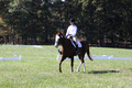 Pia Zuffoletti on Rio, Beginner Novice Horse Trials Junior A