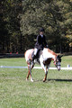 Holly Holbrook on Two Bet Chloe, Beginner Novice Horse Trials Junior A