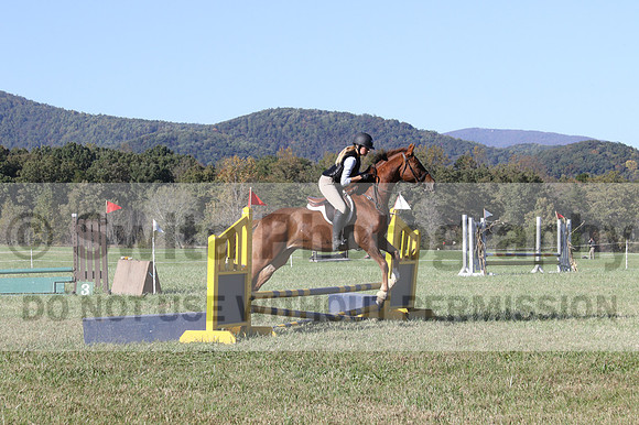 Haley Morrissey on Picturesque Serenade, Advanced Green Horse Trials A