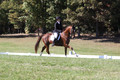 Emily Kagey on Flicka, Beginner Novice Horse Trials Junior A