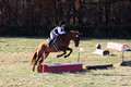 Elizabeth Brown on Adagio, Advanced Green Horse Trials Senior A