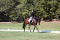 Brooke Bayley on Unbroken, Beginner Novice Horse Trials Senior A