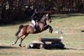 CJ Weldon on Talleyrand, Novice Horse Trials Senior