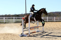 Abby McGowan on Civil Bond, Beginner Novice Horse Trials Junior B