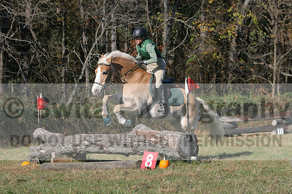 Sally Nunneley on Gingerman, Beginner Novice Horse Trials Senior A