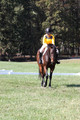 Emily Digney on American Airman, Beginner Novice Horse Trials Senior B