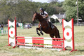 Jennifer Treacy on Happy Harry, BNR