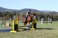 Amy Parsons on Wren Wrouge, Advanced Green Horse Trials A
