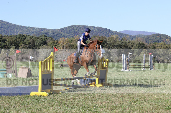 Amy Parsons on Wren Wrouge, Advanced Green Horse Trials A
