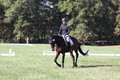 Brooke Bayley on Unbroken, Beginner Novice Horse Trials Senior A