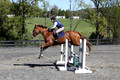 Amy Parsons on Wren Wrouge, Beginner Novice Senior HT B
