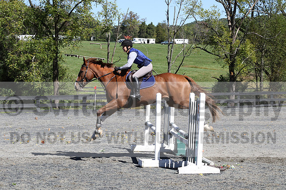 Amy Parsons on Wren Wrouge, Beginner Novice Senior HT B