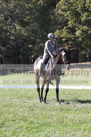 Jenny Rosner on Evita K, Advanced Green Horse Trials A