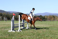 Elizabeth Davis on Freedom's Stormy Night, Beginner Novice Horse Trials Junior B