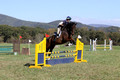 Margo Hardy on Soling's Hat Trick, Novice Horse Trials Senior B