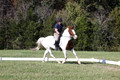 Elizabeth Schooley on Pearl, Advanced Green Horse Trials A