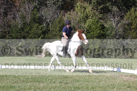 Elizabeth Schooley on Pearl, Advanced Green Horse Trials A