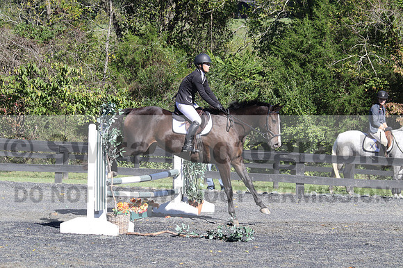 Wenzhao Zhang on High Roller, Beginner Novice Senior Horse Trials A