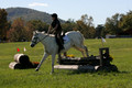 Violet Cross on Elpin Odin, Beginner Novice Horse Trials Junior B