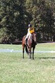 Emily Digney on American Airman, Beginner Novice Horse Trials Senior B