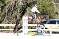 P22K8031