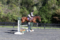 Mandolin Whitten on Thistle, Novice Horse Trials