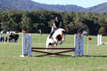 Elizabeth Schooley on Pearl, Advanced Green Horse Trials A