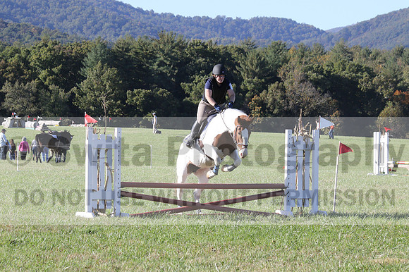 Elizabeth Schooley on Pearl, Advanced Green Horse Trials A